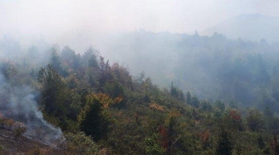 Siyəzəndə nə qədər sahə yanıb? - RƏSMİ AÇIQLAMA