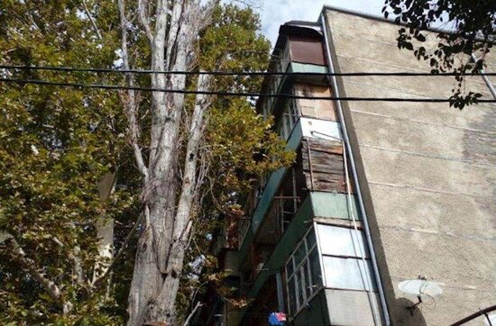 Goranboyda və Mingəçevirdə güclü külək fəsadlar törədib