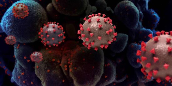 Yeni "Yezo" virusu ölümcüldür? - AÇIQLAMA