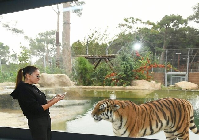Prezidentlə ailəsi zooparkın açılışında - FOTOLAR