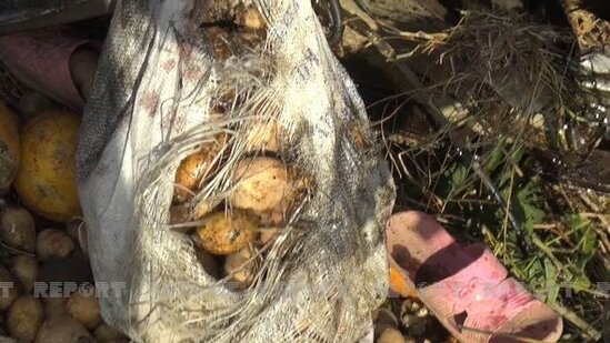 Zəncirvari qəzada yaralanan 23 nəfərin kimliyi AÇIQLANDI: Bəzilərinin vəziyyəti ağırdır - YENİLƏNİB + FOTO