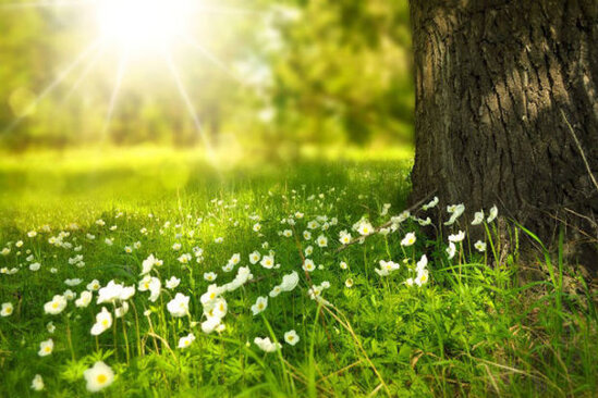 Sabah 23 dərəcə isti olacaq - PROQNOZ