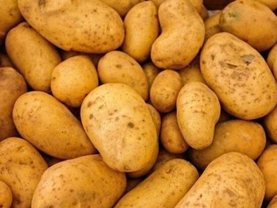 Bu kartoflardan yeməkdə istifadə etmək olmaz - Alimlərdən məsləhət