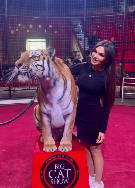 Bakıda bloqerin pələnglə çəkdirdiyi şəkil müzakirələrə səbəb oldu - VİDEO