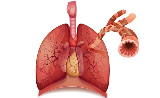 Bronxlarda olan problemlər üçün sınanmış məcun
