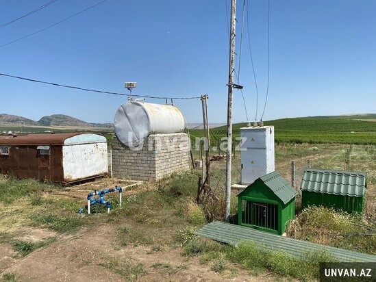 Çox təcili!Şamaxı rayonu Miri kəndində 13 hektar ərazidə qoz və badam ağac bağları satılır!