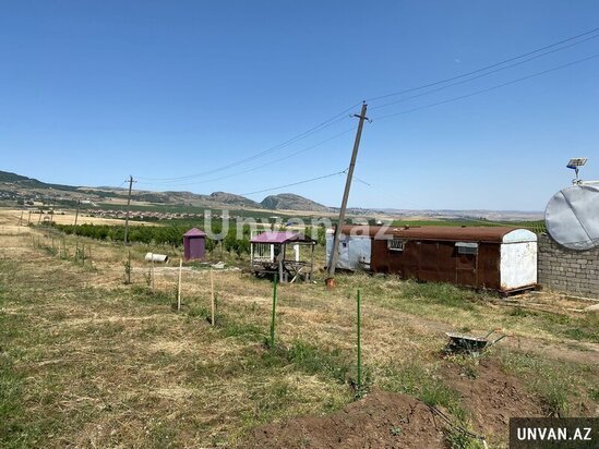 Çox təcili!Şamaxı rayonu Miri kəndində 13 hektar ərazidə qoz və badam ağac bağları satılır!