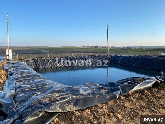 Çox təcili!Şamaxı rayonu Miri kəndində 13 hektar ərazidə qoz və badam ağac bağları satılır!