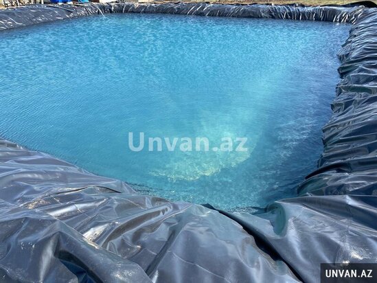 Çox təcili!Şamaxı rayonu Miri kəndində 13 hektar ərazidə qoz və badam ağac bağları satılır!