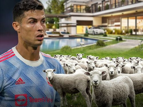 Ronaldo qoyunlara görə 14 milyonluq evindən köçdü - FOTO