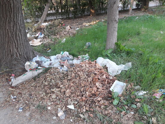 2 şəhidin abidəsi ucaldılan park baxımsız qalıb, yolları kələ-kötürdür - ŞİKAYƏT - FOTO