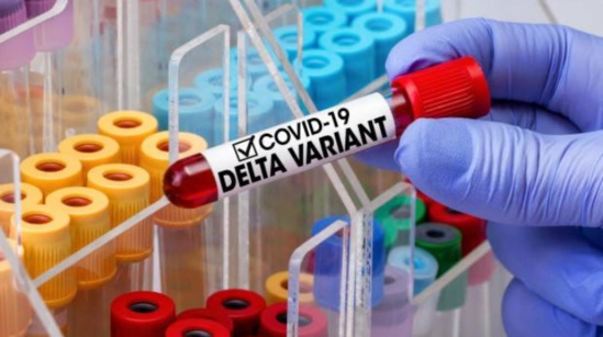 "Delta" ştamına yoluxan cavanlarda daha tez ağırlaşma olur"