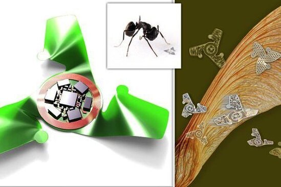 Ən kiçik ölçülü uçan mikroçiplər yaradıldı - FOTO