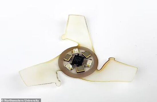 Ən kiçik ölçülü uçan mikroçiplər yaradıldı - FOTO