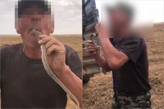 Zəhərli ilanla "fokus" həyatı bahasına başa gəldi – VİDEO