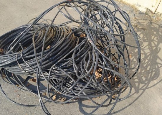 Salyanda oğurluq edən şəxs saxlanıldı