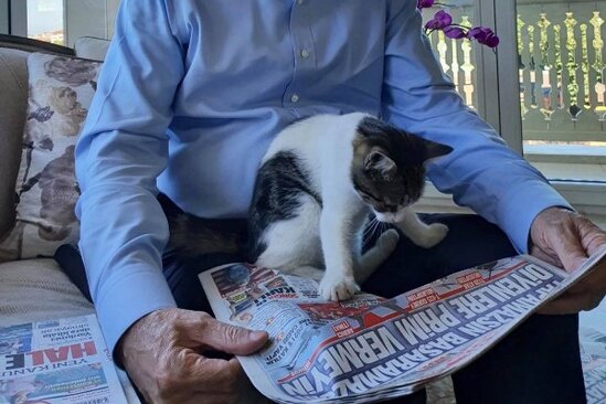 "Nəvəmin pişiyi son xəbərlərlə çox maraqlanır" - Ərdoğan