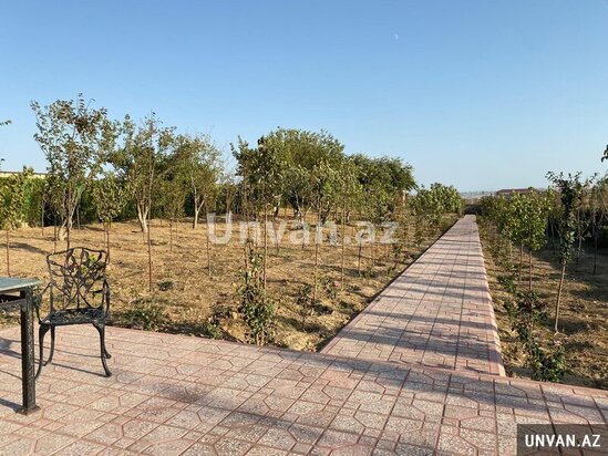 Novxanıda 63 sot torpaq sahəsində ev,bağ,ferma satılır!