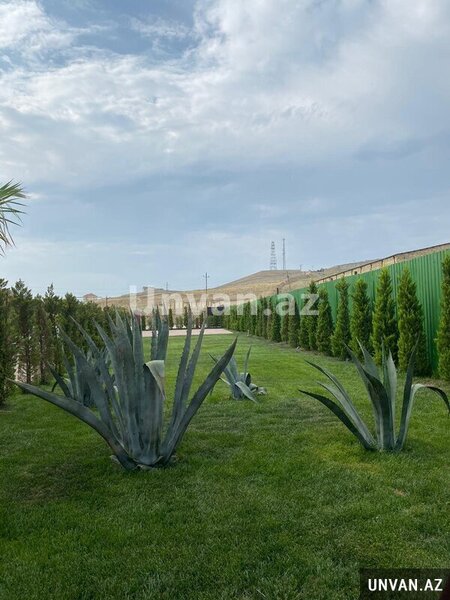 Novxanıda 63 sot torpaq sahəsində ev,bağ,ferma satılır!