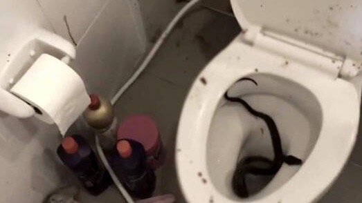 Tualetdən çıxan ilan azyaşlı qızın ölümünə səbəb oldu - FOTOLAR