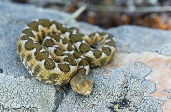Tualetdən çıxan ilan azyaşlı qızın ölümünə səbəb oldu - FOTOLAR