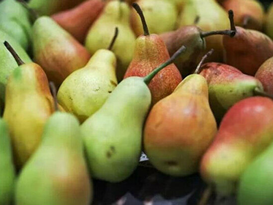Bu şəxslərə armud yemək olmaz - XƏBƏRDARLIQ