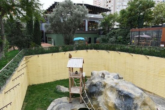 İlham Əliyev və Mehriban Əliyeva Bakı Zooloji Parkının açılışında - YENİLƏNİB + FOTO