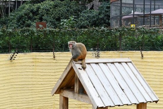 İlham Əliyev və Mehriban Əliyeva Bakı Zooloji Parkının açılışında - YENİLƏNİB + FOTO