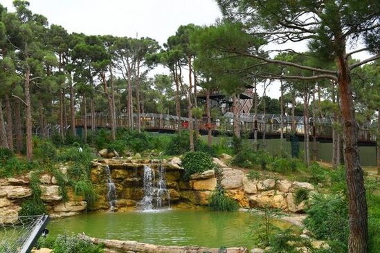 İlham Əliyev və Mehriban Əliyeva Bakı Zooloji Parkının açılışında - YENİLƏNİB + FOTO
