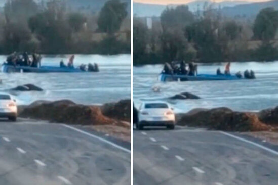 Sərnişinlərlə dolu avtobus çaya düşdü - VİDEO