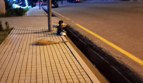 Azərbaycanda çəkilən bu görüntü böyük marağa səbəb oldu - FOTO