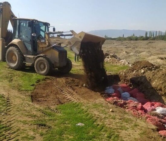 Rusiyadan gətirilmiş, tərkibində zərərverici aşkarlanmış 66 ton kartof məhv edildi - FOTO