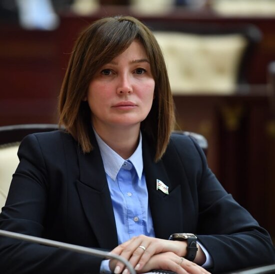 "Bu da Azərbaycanın Cənubi Qafqaz regionunda lider ölkə statusunun möhkəmlənməsi deməkdir" - Jalə Əhmədova