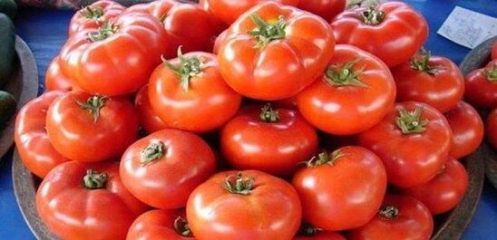 Rusiyaya pomidor ixracına AQTA qərar verəcək