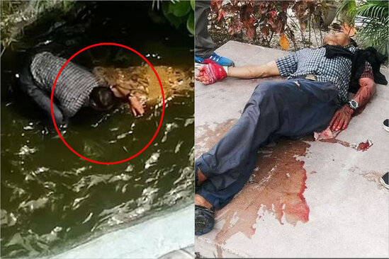 Selfi həvəsi turisti ölümlə üz-üzə qoydu - FOTO - VİDEO