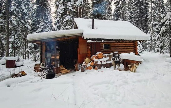 Ayının hücumundan sağ çıxan kişi məktub sayəsində 20 gün sonra tapıldı - FOTO