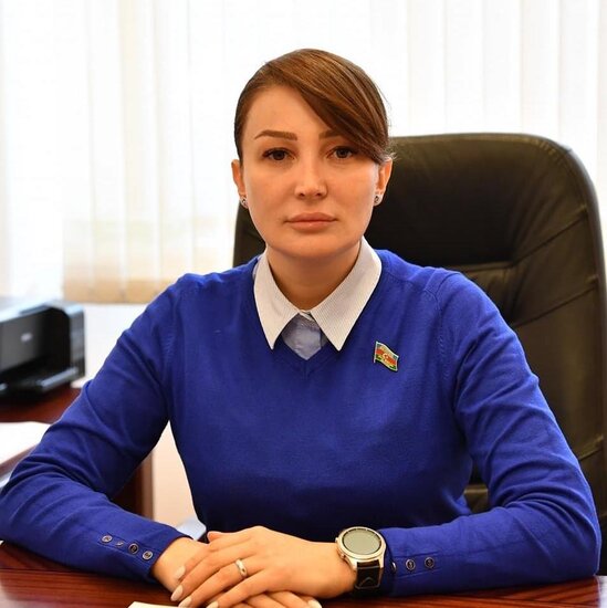 "Soçi görüşü kifayət qədər səmərəli oldu" - Jalə Əhmədova