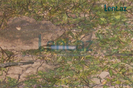 Arvadını, onun sevgilisini və anasını ÖLDÜRDÜ - AZƏRBAYCANDA DƏHŞƏT