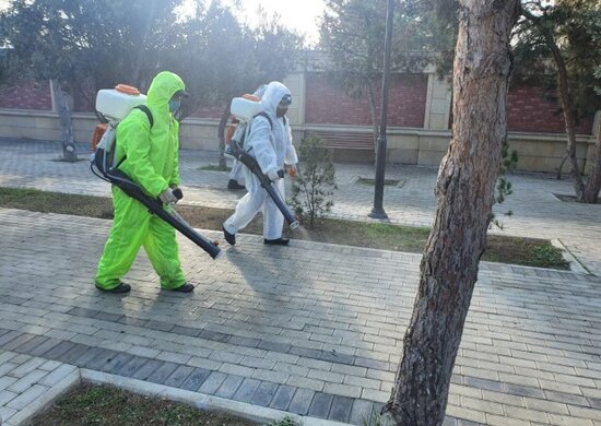 Xəzər rayonunda növbəti ümumrayon iməcliyi keçirilib - FOTOLAR