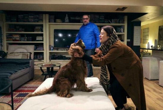 İran hökuməti niyə ev heyvanları saxlamağı qadağan edib? - FOTO