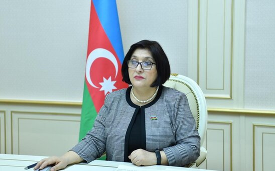 Sahibə Qafarova: "Yeni qanun medianın daha da inkişafına təkan verəcək"