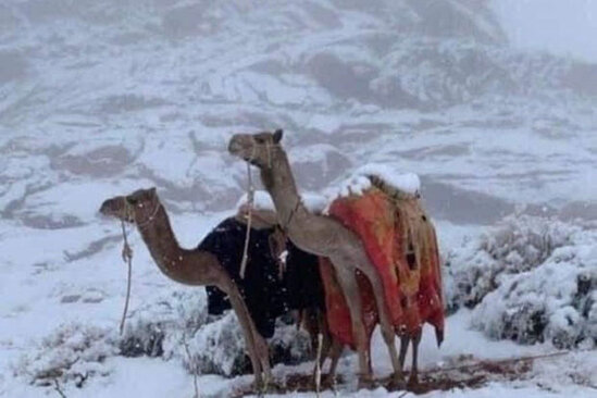 Misirin İsgəndəriyyə şəhərinə qar yağıb - FOTO