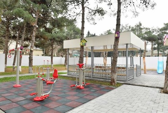 Mehriban Əliyeva Autizm Mərkəzində yaradılan şəraitlə tanış olub - FOTO