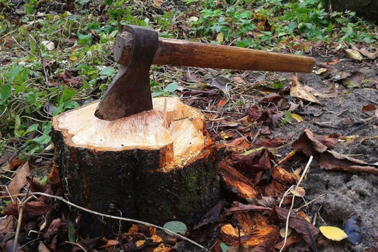 Lənkəran sakini bədbəxt hadisə nəticəsində ölüb