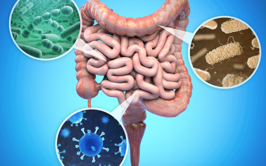 Mədə-bağırsaq üçün ən faydalı 10 ƏRZAQ açıqlandı - Prebiotik təsirli