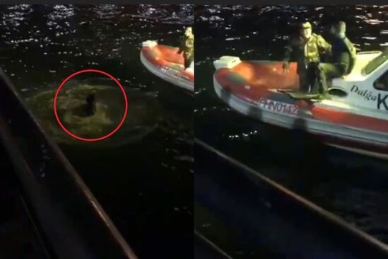 Bakı bulvarında intihara cəhd - VİDEO