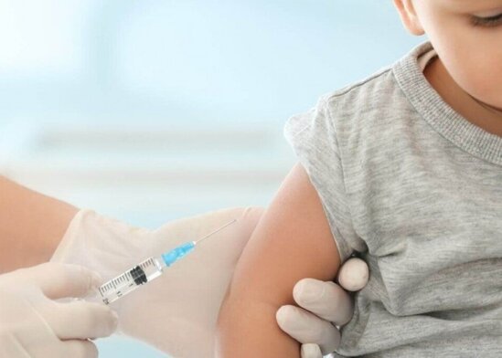 İşaqların peyvənd olunmasına başlanılır