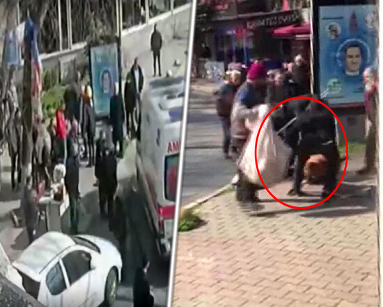 Pitbul dəhşət yaşatdı: 3 nəfər xəsarət aldı - ANBAAN VİDEO