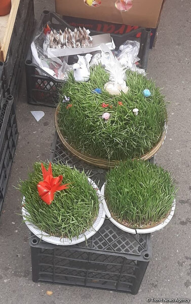 Bakıda Novruz çadırlarında qiymətlər necədir? - FOTO