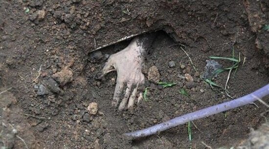 Şirvan sakini bacısını öldürərək basdırıb - YENİLƏNİB